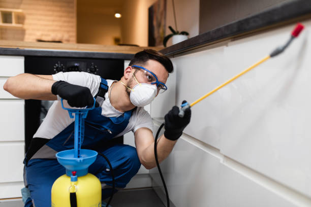 Best Wasp Removal Services  in Whitney, TX