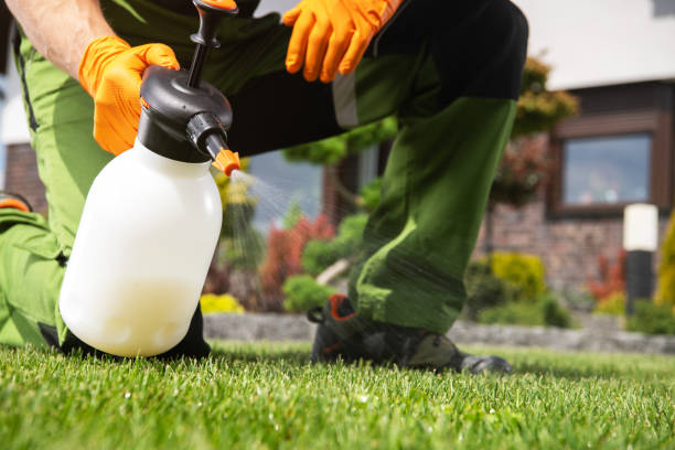 Best Termite Control Services  in Whitney, TX