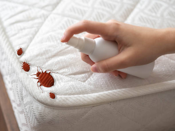 Best Pest Inspection Near Me  in Whitney, TX