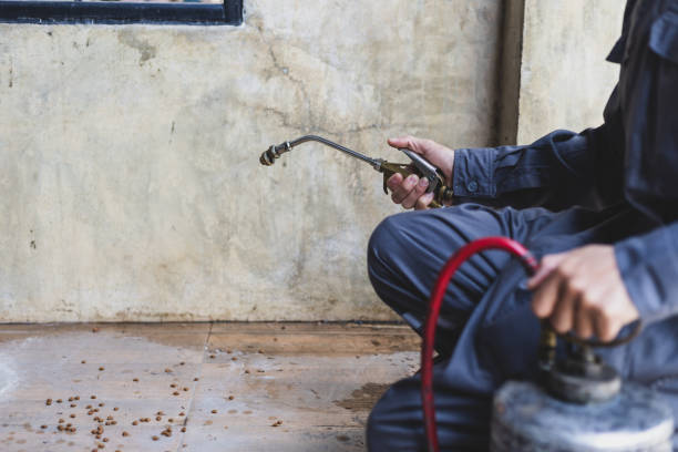 Trusted Whitney, TX Pest Control Experts