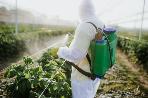 Best Best Pest Control Companies  in Whitney, TX
